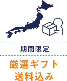 期間限定　厳選ギフト送料込み