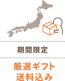 期間限定　厳選ギフト送料込み