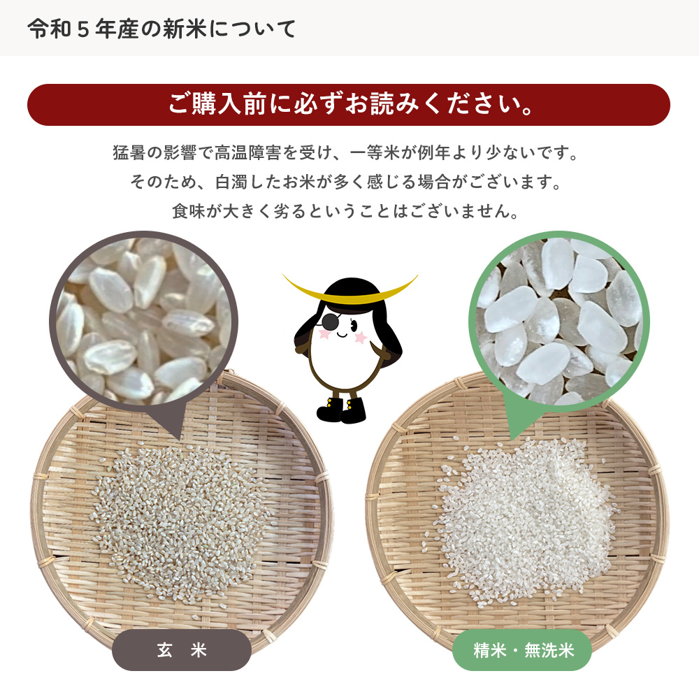 無洗米 あきたこまち 20kg(5kg×4袋) 秋田県産 令和5年産 | 無