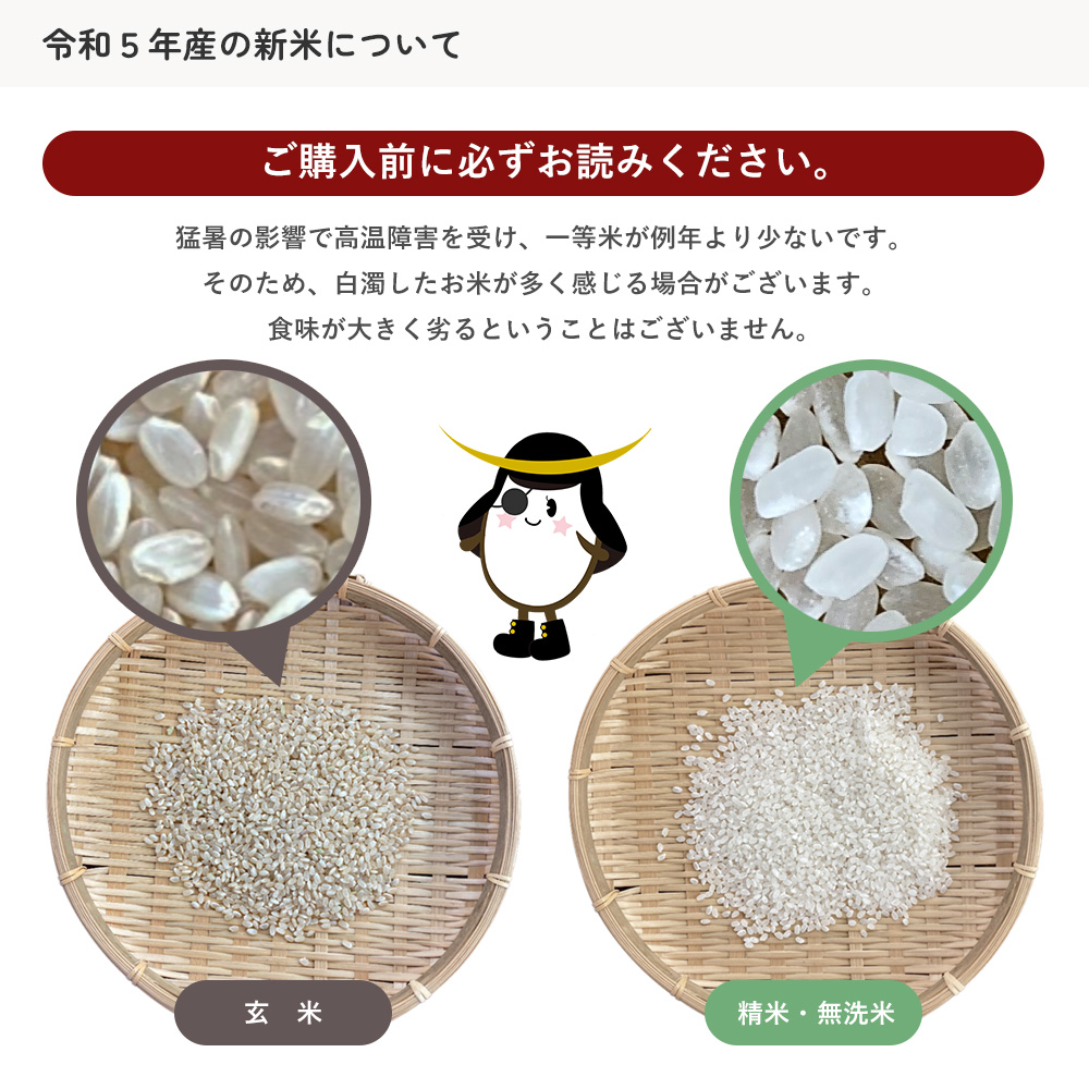 ☆専用品【農家直送】宮城県産ササニシキ　無洗米10kg【送料無料】