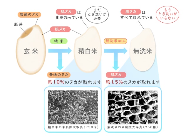 BG無洗米 製法説明 玄米 精白米 無洗米 肌ヌカ 工程図