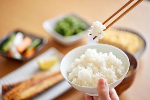 BG無洗米 炊き上がり ごはん 和食 美味しい