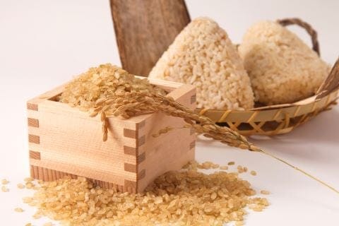 玄米 おにぎり 升 稲穂 お得 大量購入 家族