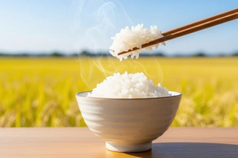 はれわたり 青森県産 玄米 炊き上がり ぷっくり粒立ち