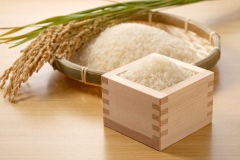 はれわたり 青森県産 玄米 稲穂 新世代ブランド米