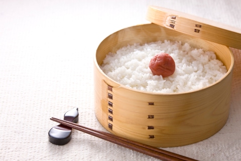 ひとめぼれ 宮城県産 金芽米 炊き上がり おひつ 梅干し