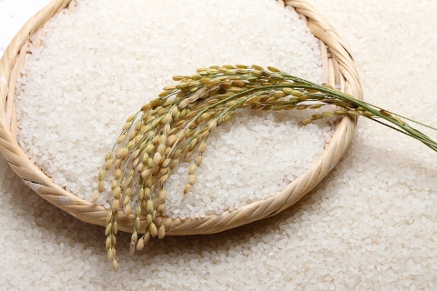 ひとめぼれ 宮城県産 精米 升 稲穂 ブランド米