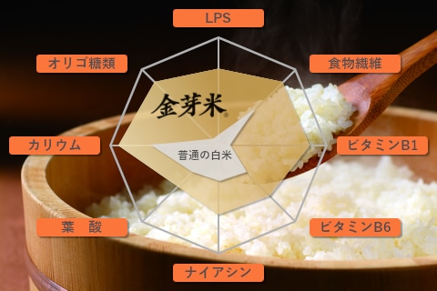 金芽米 栄養 レーダーチャート LPS 食物繊維 ビタミンB1 ビタミンB6 ナイアシン 葉酸 カリウム オリゴ糖