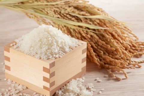 まなむすめ 宮城県産 玄米 稲穂 次世代ブランド米