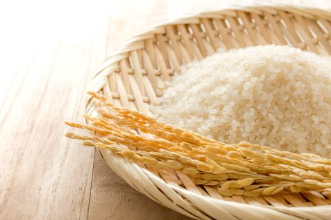 萌えみのり 宮城県産 玄米 稲穂 田んぼ