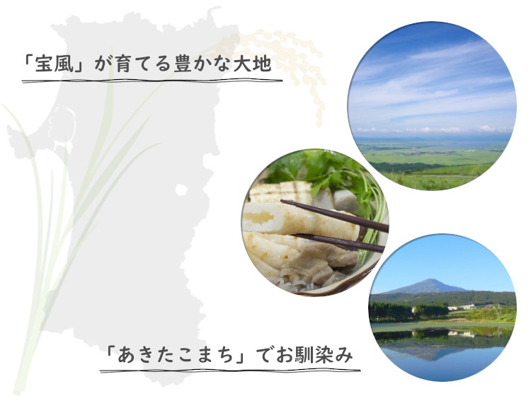 新米 あきたこまち 一等米玄米 30kg 秋田県産 令和4年産 | 銘柄から選ぶ,あきたこまち | 伊達の蔵出し本舗-お米の匠