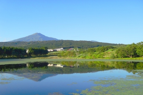 秋田県 田園風景 水田 奥羽山脈 米どころ 宝風
