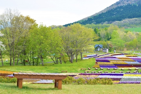 宮城県加美郡 花畑 薬莱山 大自然 清流の里