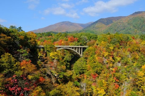 宮城県大崎市鳴子 紅葉 渓谷 橋 温泉郷 山間地