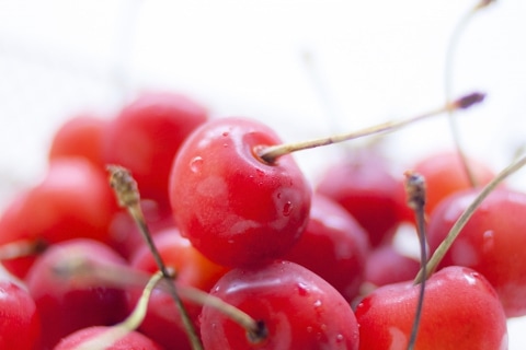 山形県 さくらんぼ 果物王国 農産物 特産品