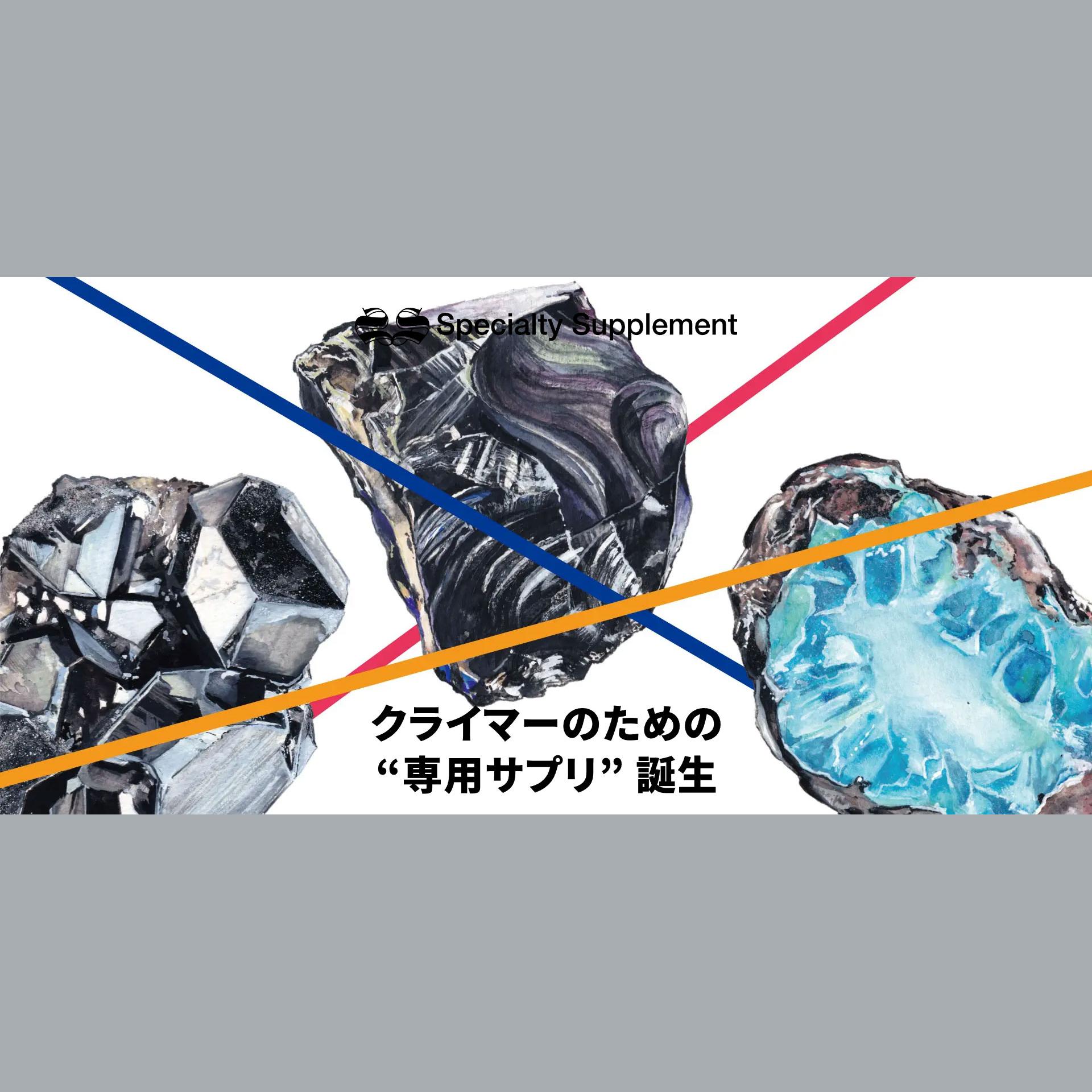 supplement_lp1