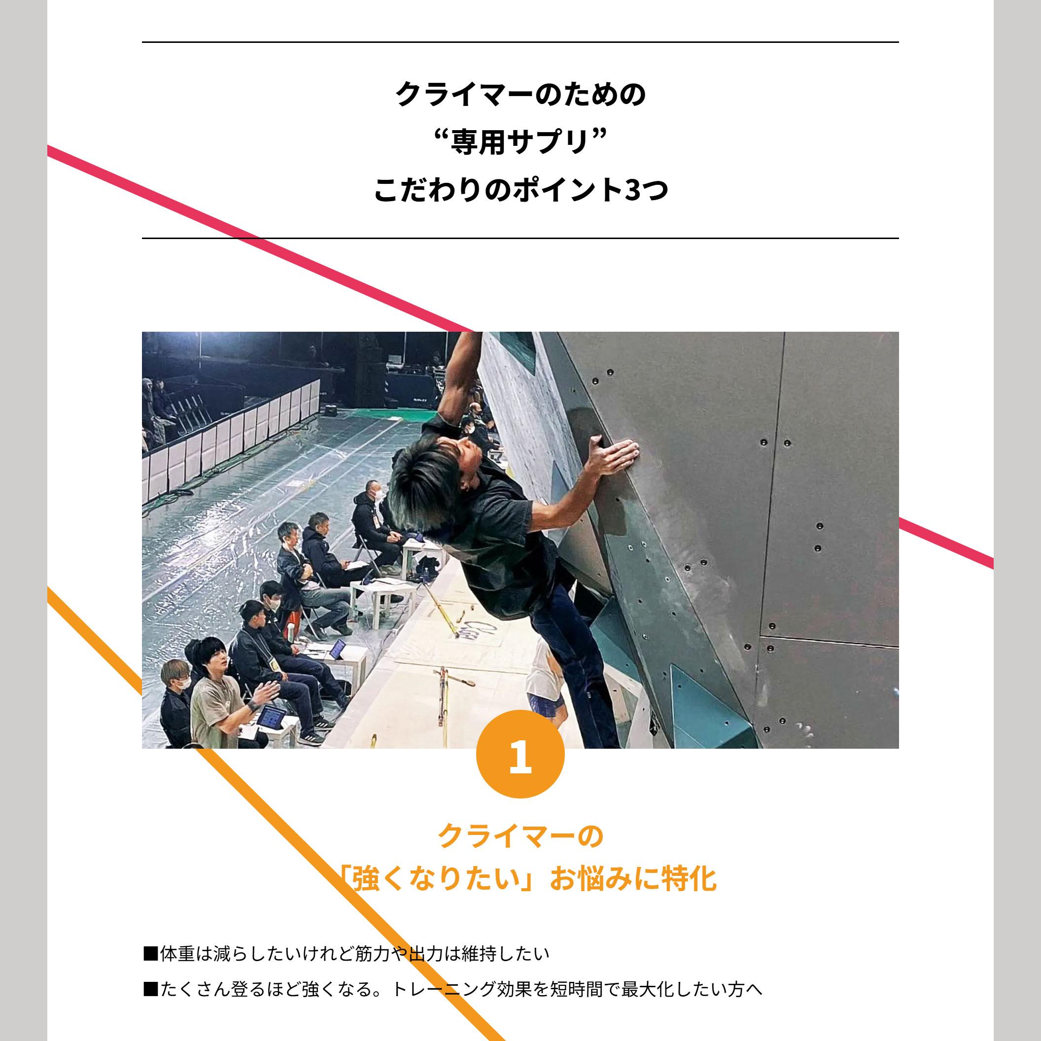 supplement_lp11