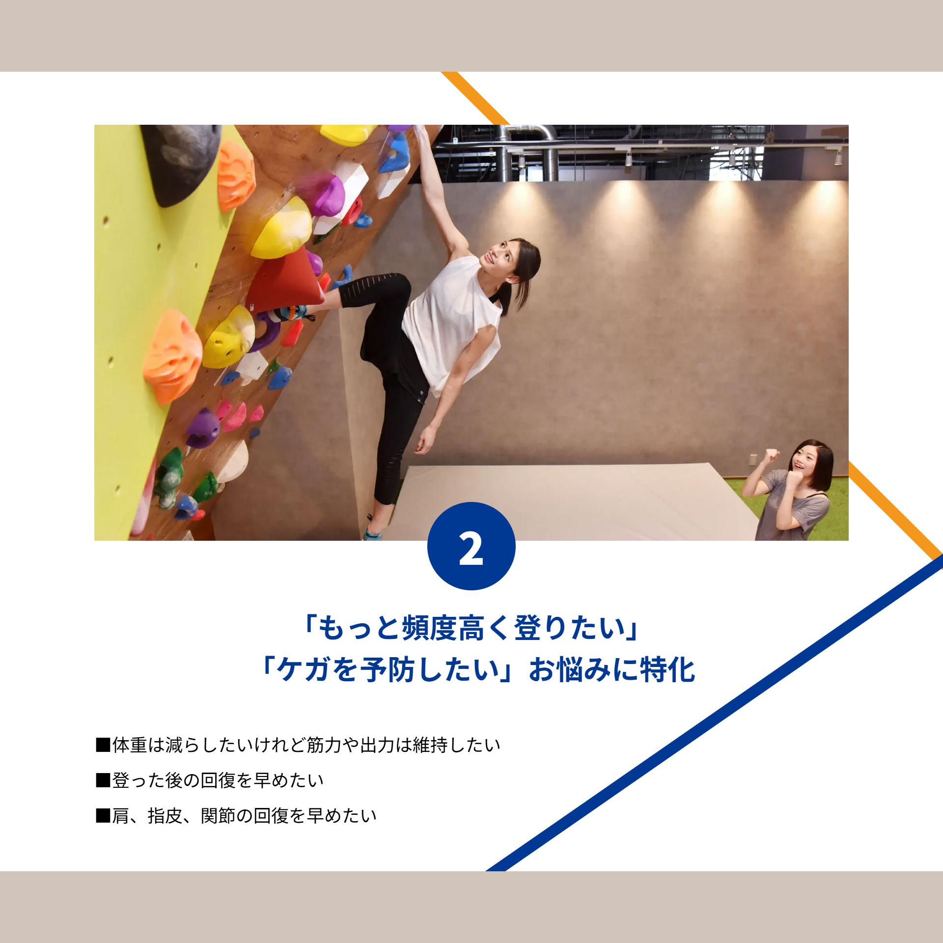 supplement_lp12
