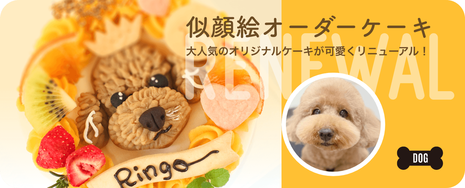 ���鳨��������������