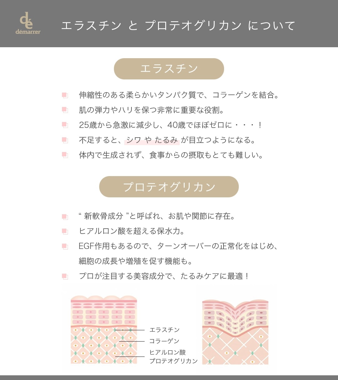 エラスチンとは