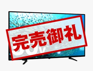 bizz（ビズ）ジェネリック液晶テレビ特集｜激安家電の通販ならデンマート