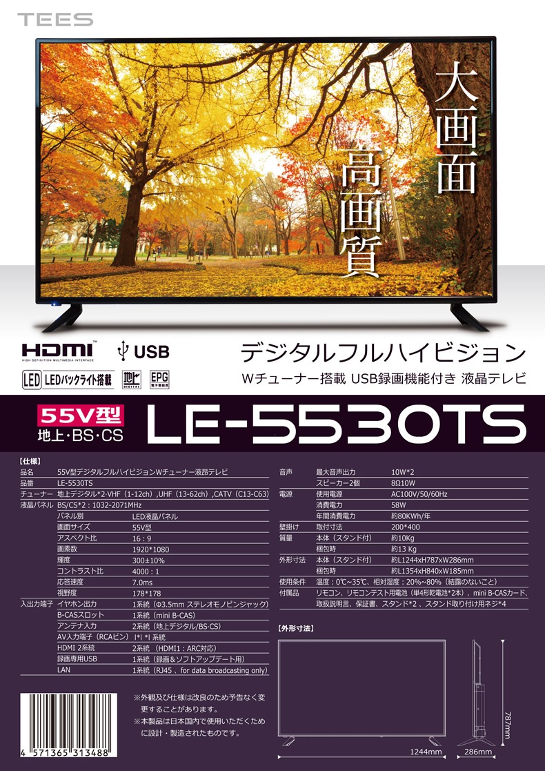 ティーズTEES LE-5530TS 55インチ液晶テレビ 2020年製