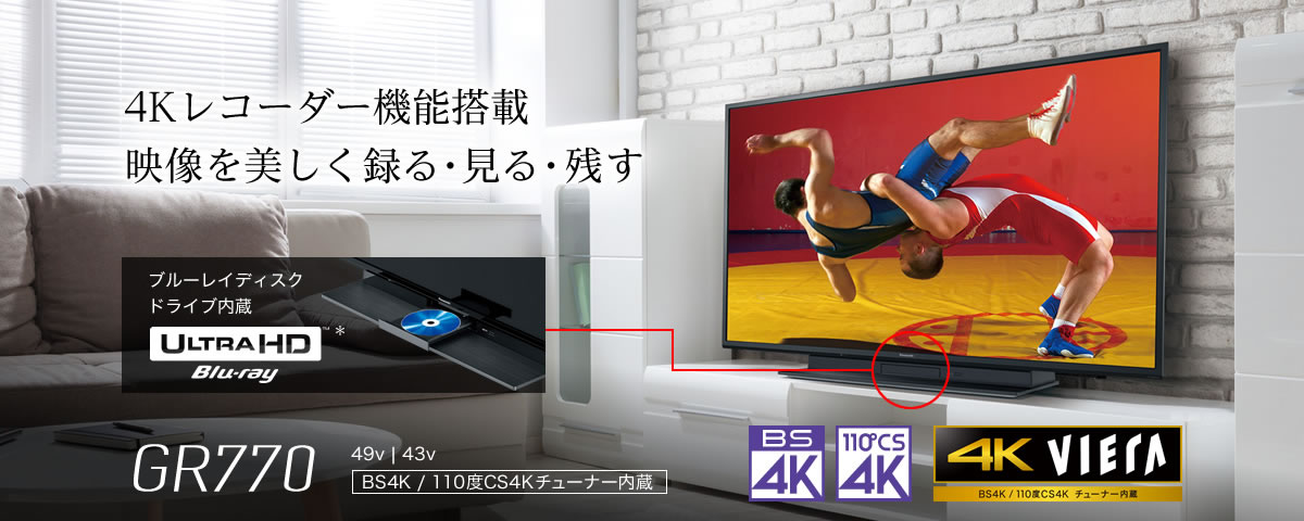 4Kダブルチューナー内蔵液晶テレビ 49V型 HDD&BDドライブ内蔵 ビエラ