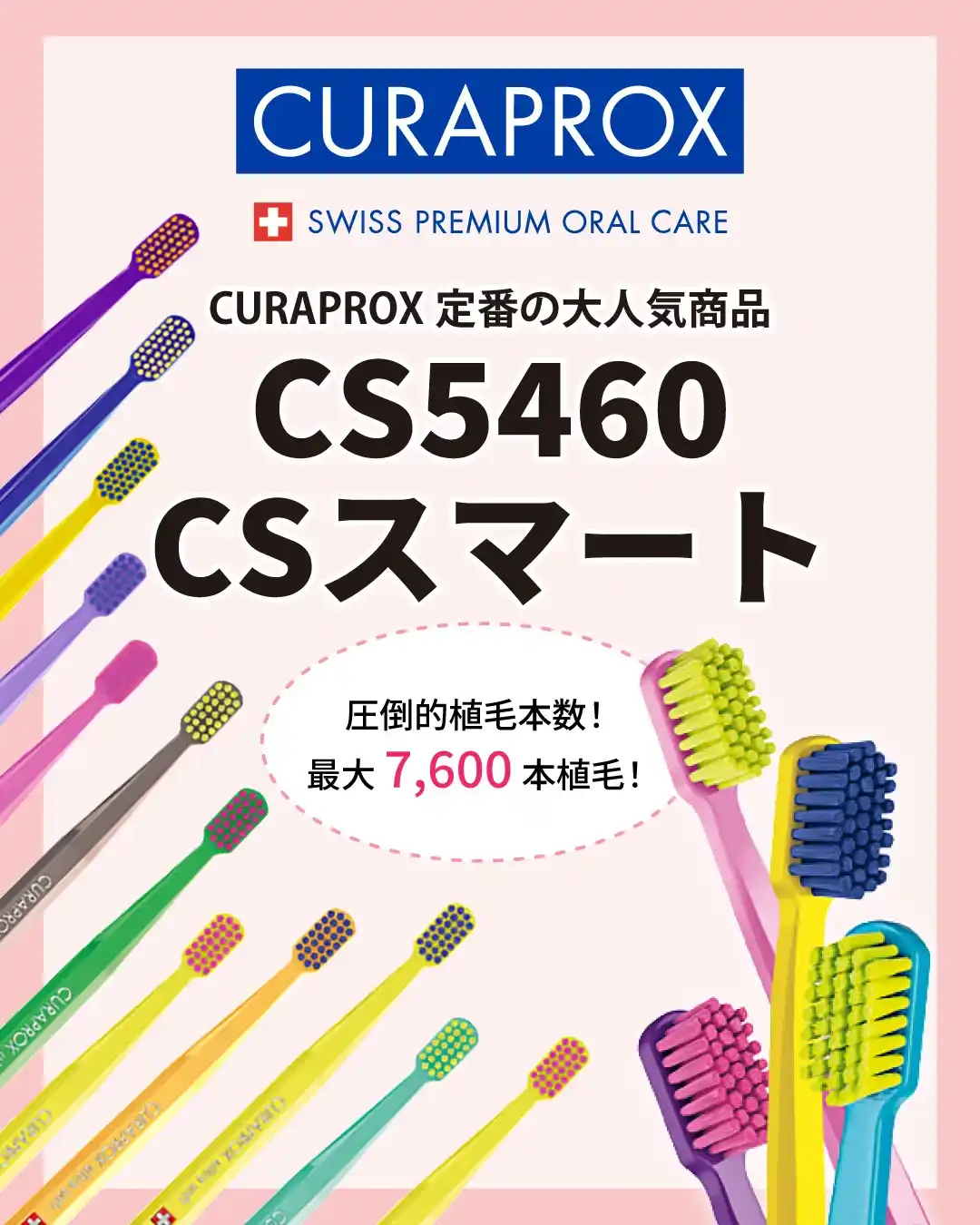 歯科医院専売のデンタルフィット 本店