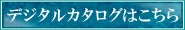 �ǥ����륫�������Ϥ�����