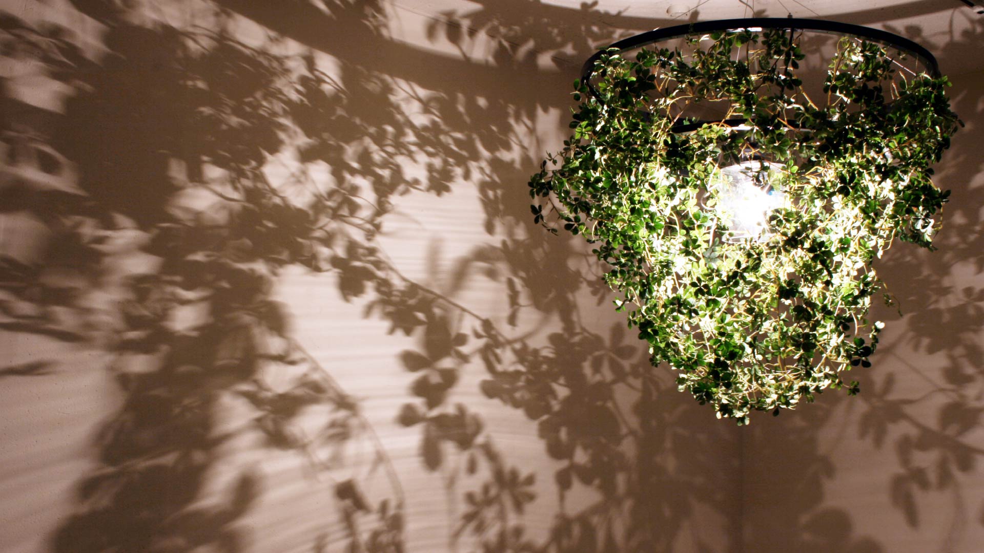 フォレスティグランデペンダントランプ