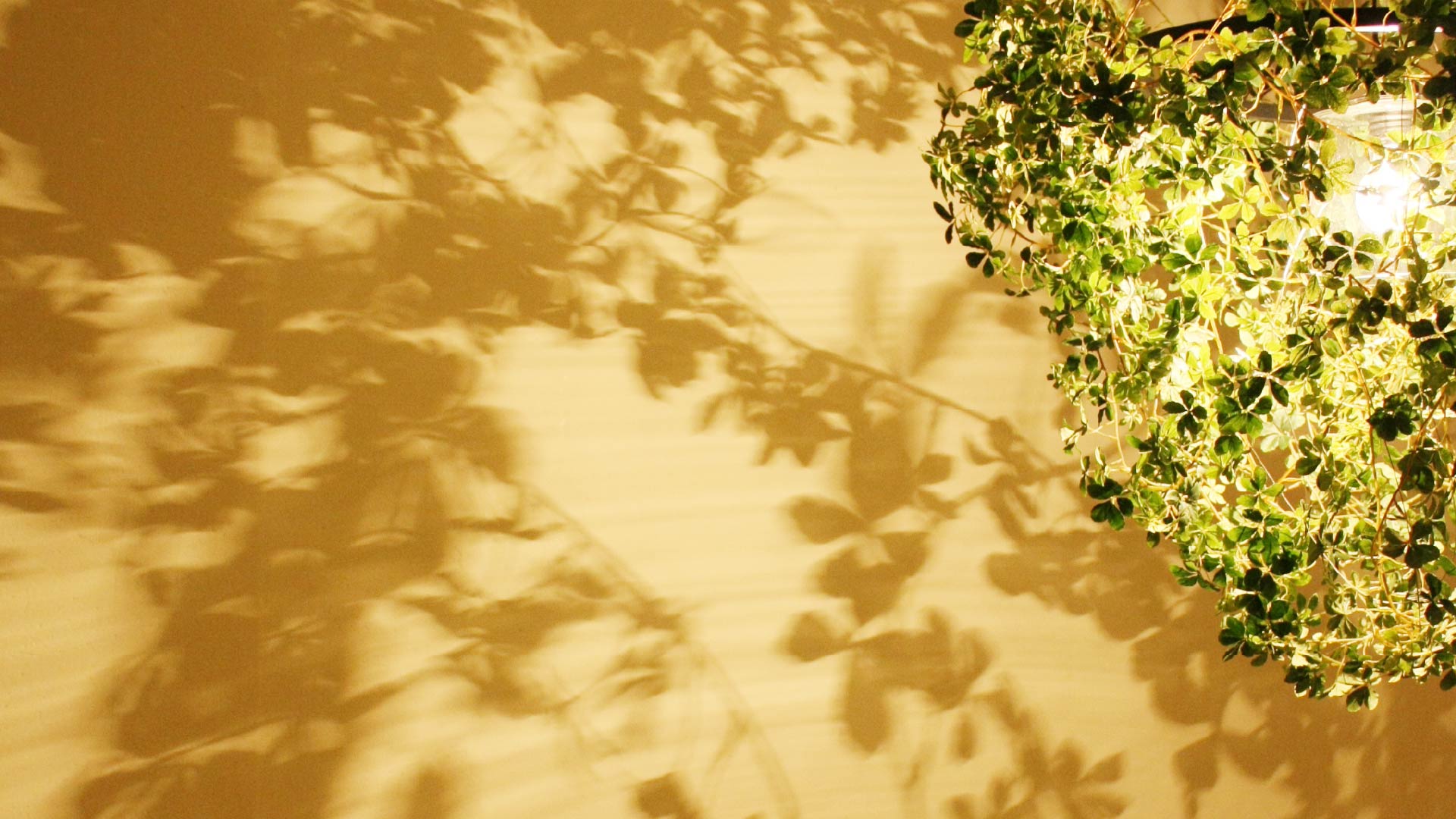 フォレスティグランデペンダントランプ