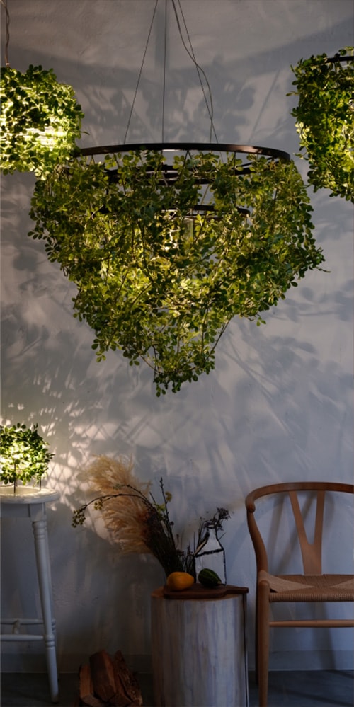 Nature ネイチャー