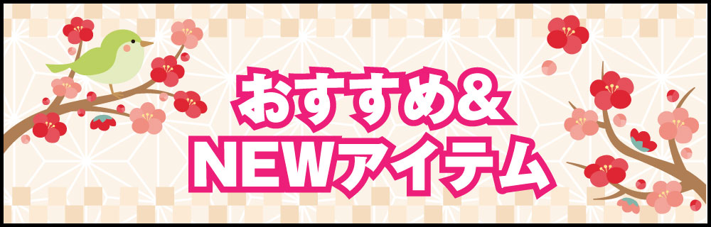 ���������NEW�����ƥࡪ