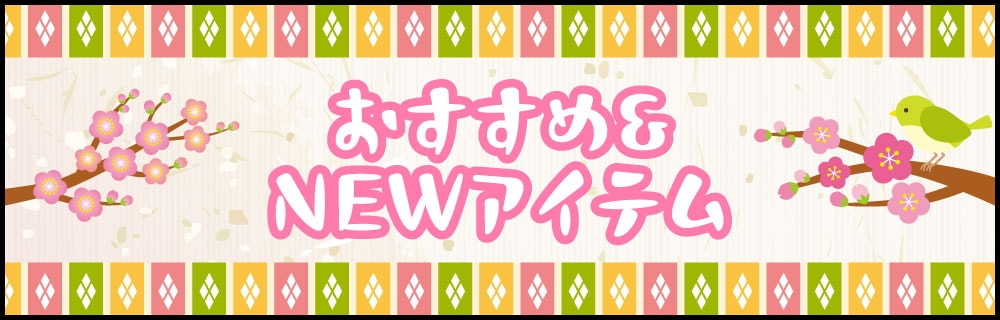 ���������NEW�����ƥࡪ