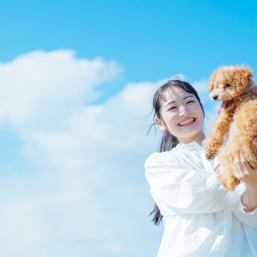 私たちの取り組み