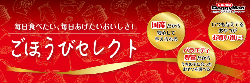 カテゴリバナー