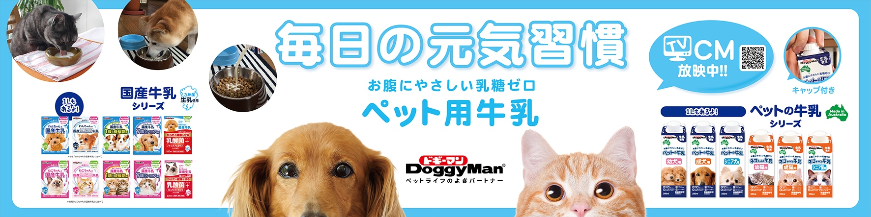 カテゴリバナー