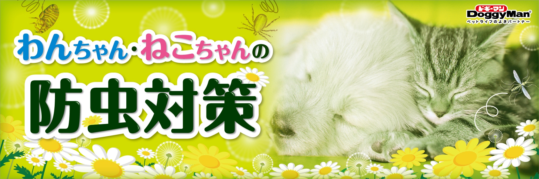 カテゴリバナー