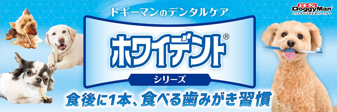 カテゴリバナー