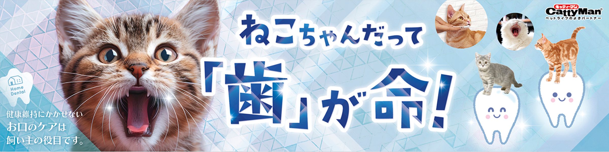 カテゴリバナー