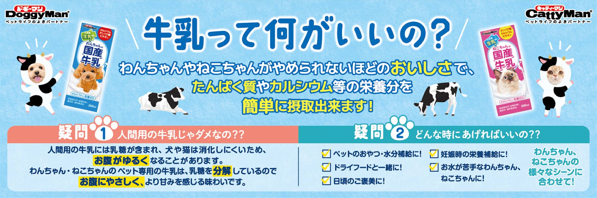 カテゴリバナー