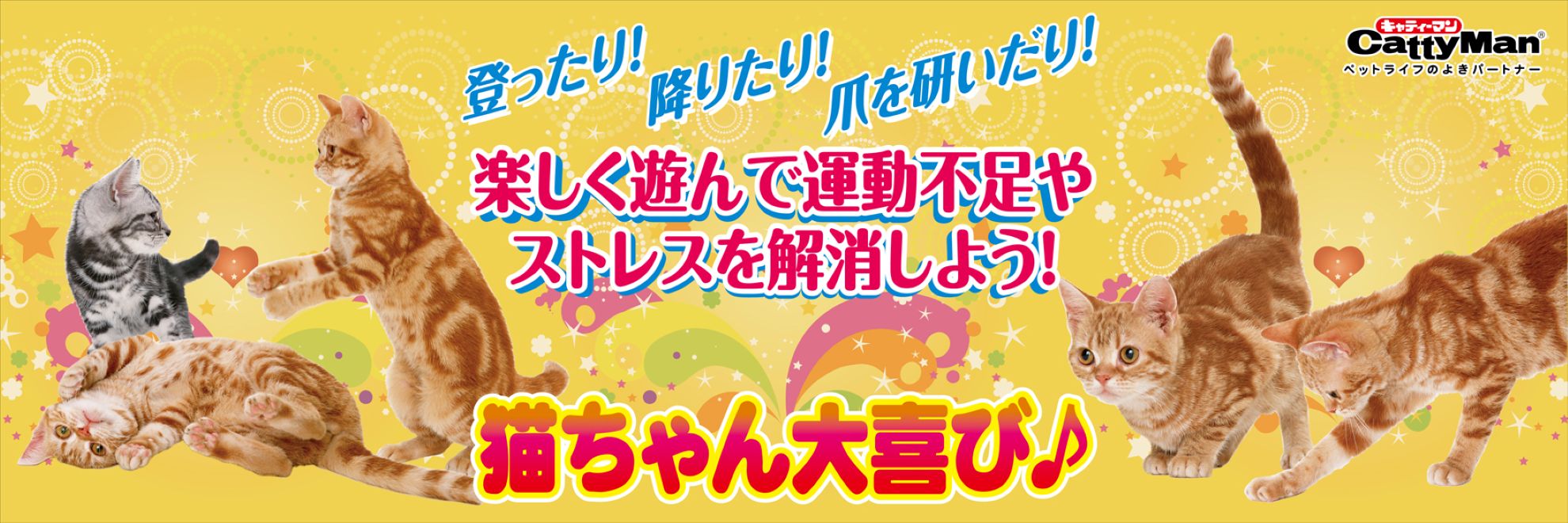 カテゴリバナー