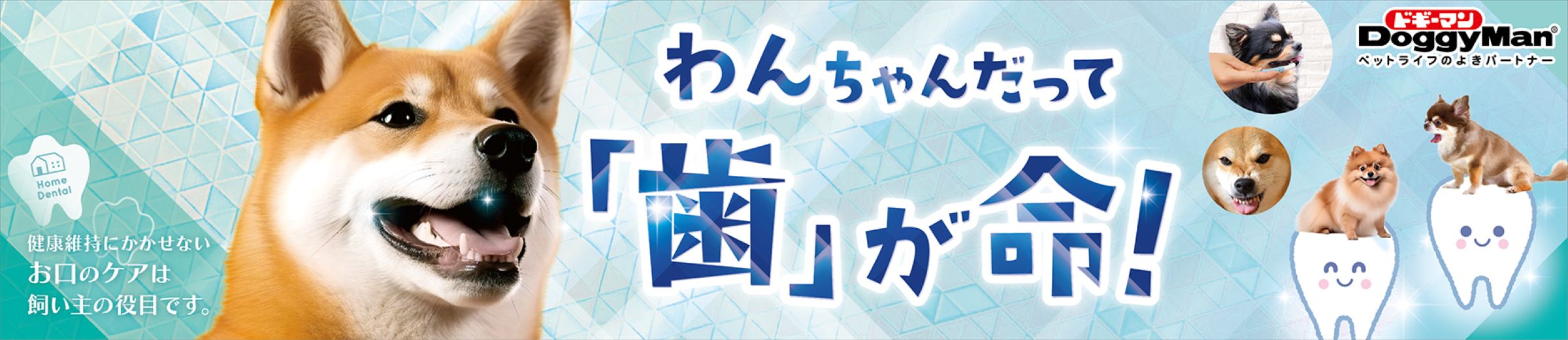 カテゴリバナー