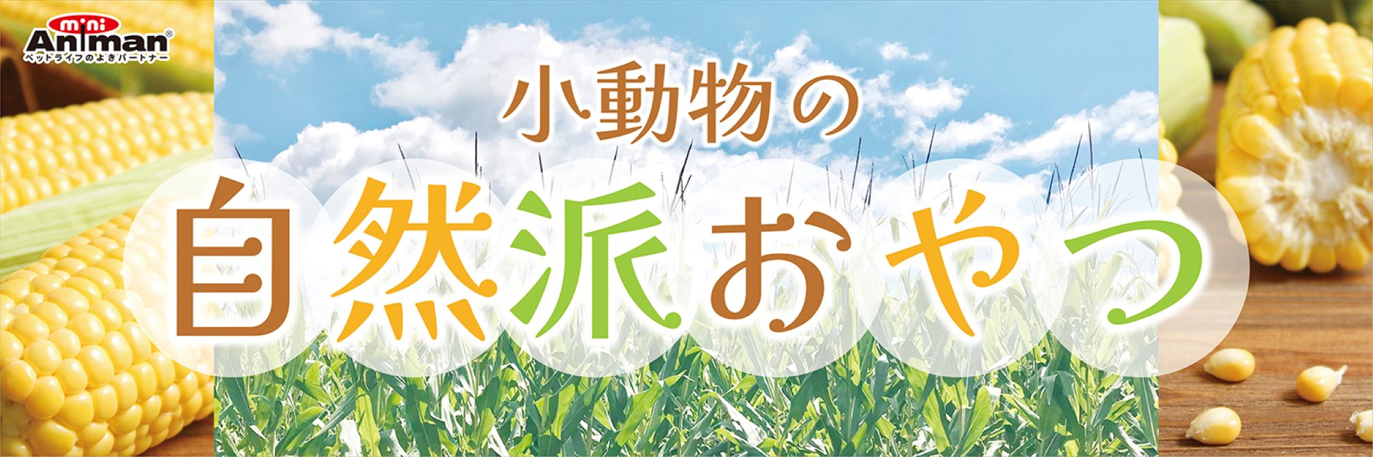 カテゴリバナー