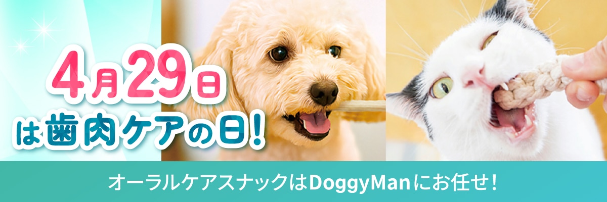 4月29日は歯肉ケアの日！