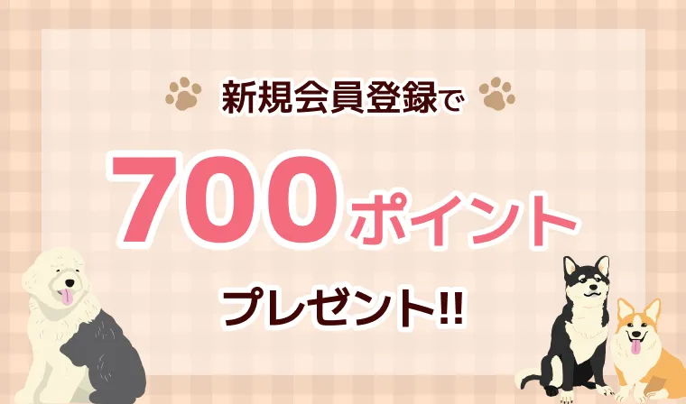会員登録キャンペーン