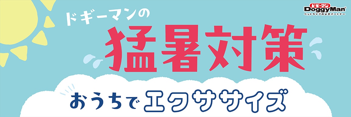 海の日ポイントアップ