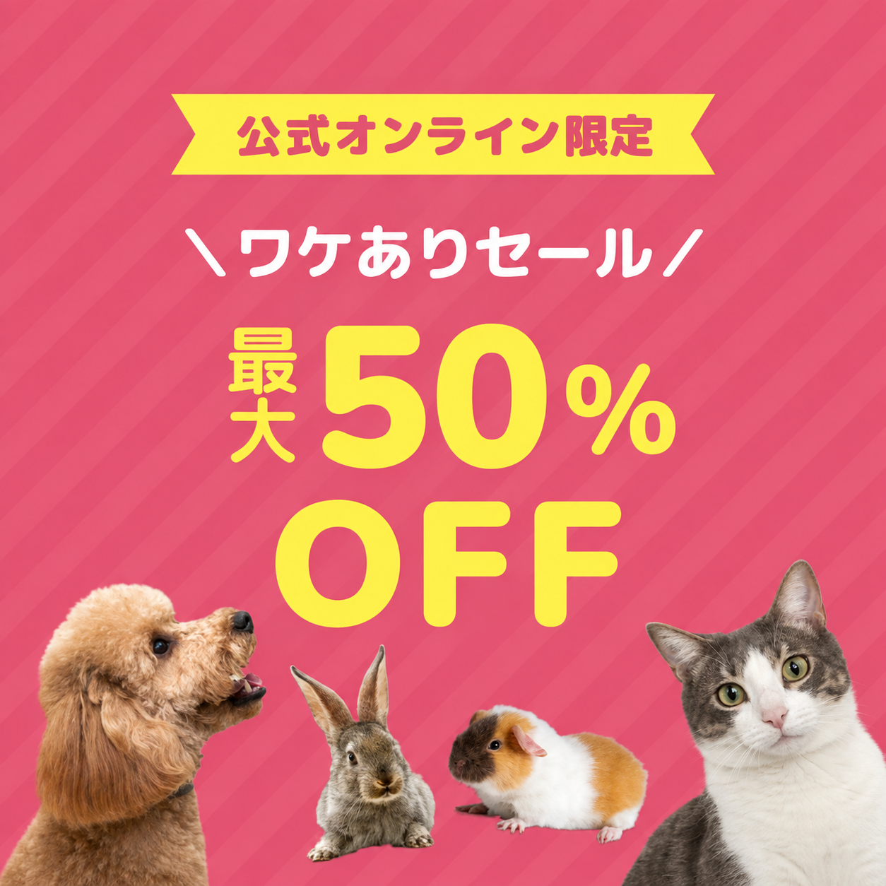 訳あり
