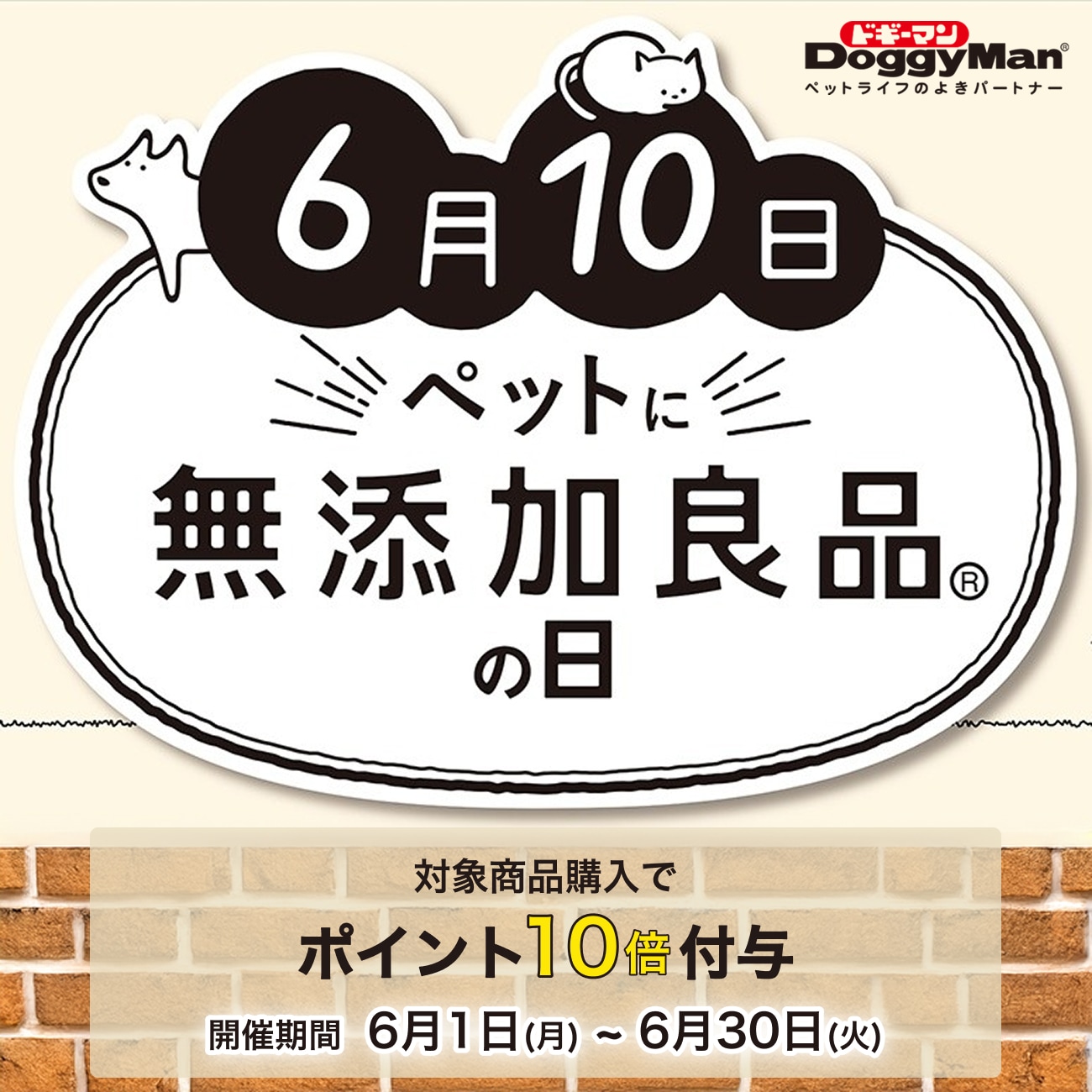 特集