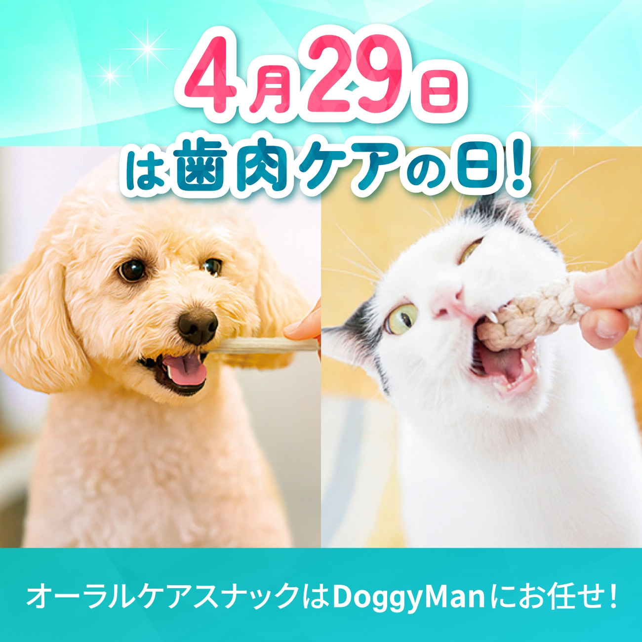 4月29日は歯肉ケアの日